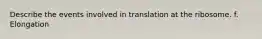 Describe the events involved in translation at the ribosome. f. Elongation