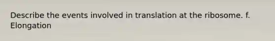 Describe the events involved in translation at the ribosome. f. Elongation