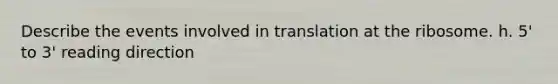 Describe the events involved in translation at the ribosome. h. 5' to 3' reading direction