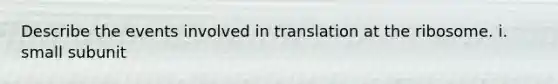 Describe the events involved in translation at the ribosome. i. small subunit