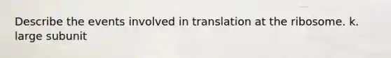 Describe the events involved in translation at the ribosome. k. large subunit