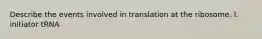 Describe the events involved in translation at the ribosome. l. initiator tRNA