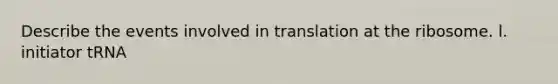 Describe the events involved in translation at the ribosome. l. initiator tRNA