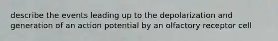 describe the events leading up to the depolarization and generation of an action potential by an olfactory receptor cell