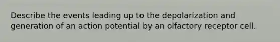 Describe the events leading up to the depolarization and generation of an action potential by an olfactory receptor cell.