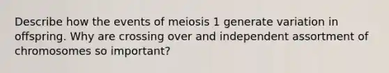 Describe how the events of meiosis 1 generate variation in offspring. Why are crossing over and independent assortment of chromosomes so important?