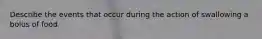 Describe the events that occur during the action of swallowing a bolus of food