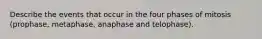 Describe the events that occur in the four phases of mitosis (prophase, metaphase, anaphase and telophase).