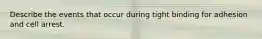 Describe the events that occur during tight binding for adhesion and cell arrest.