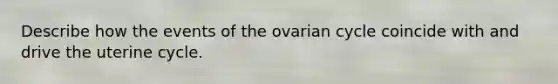 Describe how the events of the ovarian cycle coincide with and drive the uterine cycle.