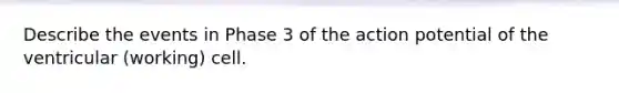 Describe the events in Phase 3 of the action potential of the ventricular (working) cell.