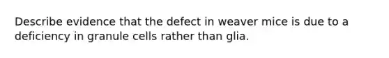 Describe evidence that the defect in weaver mice is due to a deficiency in granule cells rather than glia.