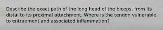 Describe the exact path of the long head of the biceps, from its distal to its proximal attachment. Where is the tendon vulnerable to entrapment and associated inflammation?