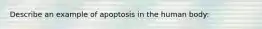 Describe an example of apoptosis in the human body: