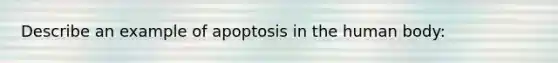 Describe an example of apoptosis in the human body: