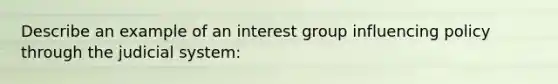 Describe an example of an interest group influencing policy through the judicial system: