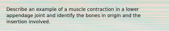 Describe an example of a muscle contraction in a lower appendage joint and identify the bones in origin and the insertion involved.