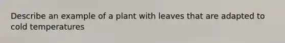 Describe an example of a plant with leaves that are adapted to cold temperatures