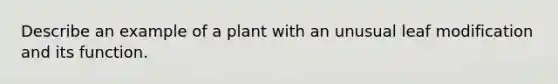 Describe an example of a plant with an unusual leaf modification and its function.