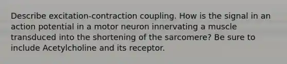 Describe excitation-contraction coupling. How is the signal in an action potential in a motor neuron innervating a muscle transduced into the shortening of the sarcomere? Be sure to include Acetylcholine and its receptor.