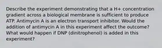 Describe the experiment demonstrating that a H+ concentration gradient across a biological membrane is sufficient to produce ATP. Antimycin A is an electron transport inhibitor. Would the addition of antimycin A in this experiment affect the outcome? What would happen if DNP (dinitrophenol) is added in this experiment?