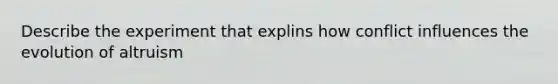 Describe the experiment that explins how conflict influences the evolution of altruism