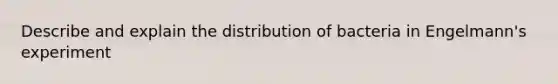 Describe and explain the distribution of bacteria in Engelmann's experiment