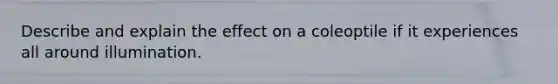 Describe and explain the effect on a coleoptile if it experiences all around illumination.