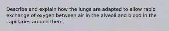 Describe and explain how the lungs are adapted to allow rapid exchange of oxygen between air in the alveoli and blood in the capillaries around them.