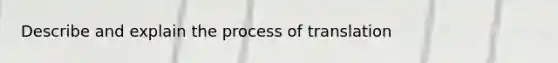 Describe and explain the process of translation