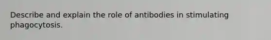 Describe and explain the role of antibodies in stimulating phagocytosis.