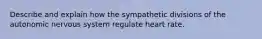 Describe and explain how the sympathetic divisions of the autonomic nervous system regulate heart rate.