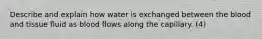 Describe and explain how water is exchanged between the blood and tissue fluid as blood flows along the capillary. (4)