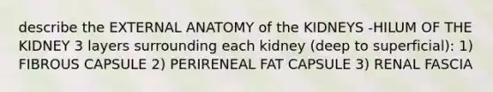 describe the EXTERNAL ANATOMY of the KIDNEYS -HILUM OF THE KIDNEY 3 layers surrounding each kidney (deep to superficial): 1) FIBROUS CAPSULE 2) PERIRENEAL FAT CAPSULE 3) RENAL FASCIA