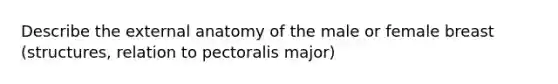 Describe the external anatomy of the male or female breast (structures, relation to pectoralis major)