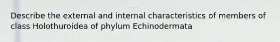 Describe the external and internal characteristics of members of class Holothuroidea of phylum Echinodermata