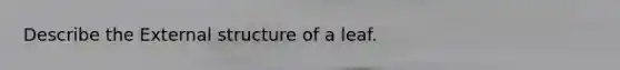 Describe the External structure of a leaf.