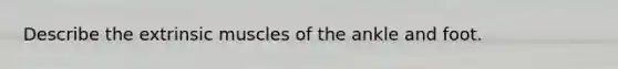 Describe the extrinsic muscles of the ankle and foot.