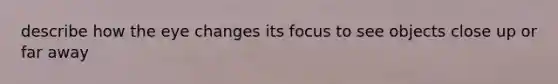 describe how the eye changes its focus to see objects close up or far away