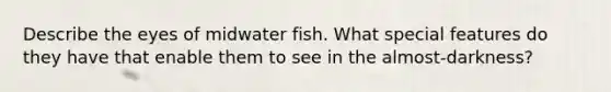 Describe the eyes of midwater fish. What special features do they have that enable them to see in the almost-darkness?