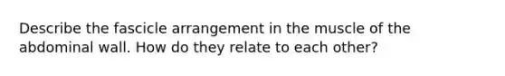 Describe the fascicle arrangement in the muscle of the abdominal wall. How do they relate to each other?