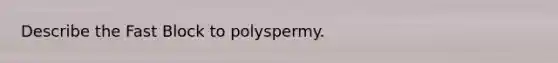 Describe the Fast Block to polyspermy.