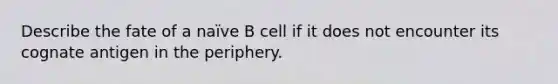 Describe the fate of a naïve B cell if it does not encounter its cognate antigen in the periphery.