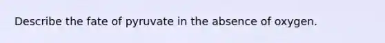 Describe the fate of pyruvate in the absence of oxygen.