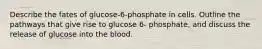 Describe the fates of glucose-6-phosphate in cells. Outline the pathways that give rise to glucose 6- phosphate, and discuss the release of glucose into the blood.