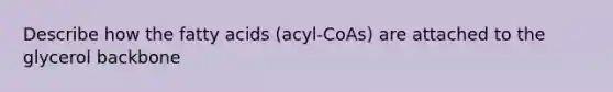 Describe how the fatty acids (acyl-CoAs) are attached to the glycerol backbone