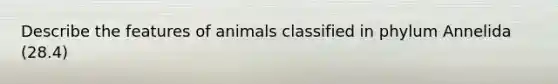 Describe the features of animals classified in phylum Annelida (28.4)