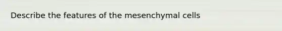 Describe the features of the mesenchymal cells