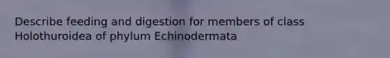 Describe feeding and digestion for members of class Holothuroidea of phylum Echinodermata