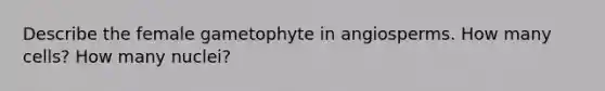 Describe the female gametophyte in angiosperms. How many cells? How many nuclei?